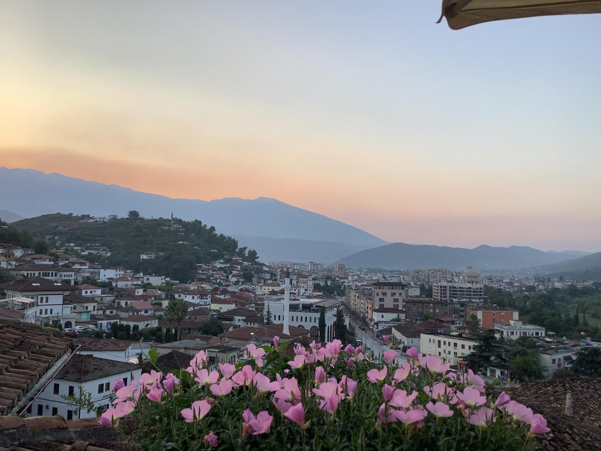 Aleksander Hotel 4*
